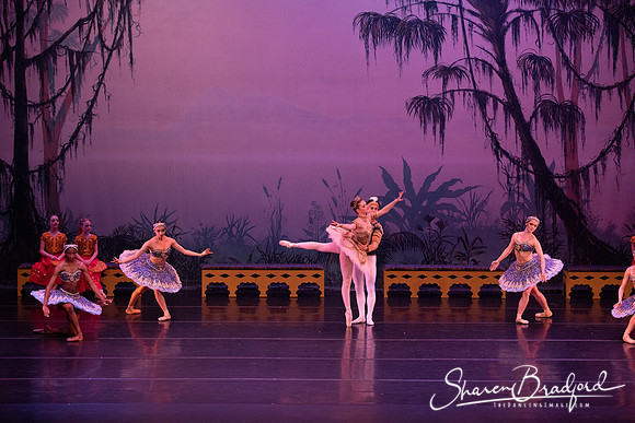 TDC La Bayadere pc Sharen Bradford-3186