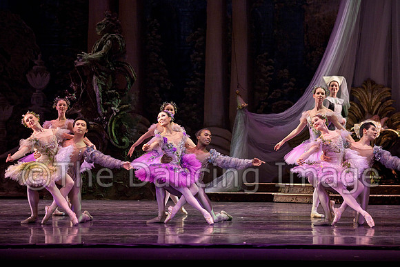 TB Sleeping Beauty Wed.-0111