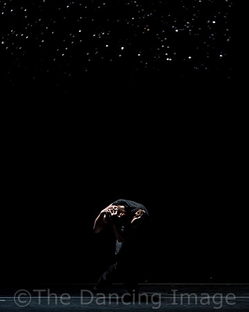 Solo Echo-5771
