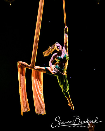 Nutcracker eve pc Sharen Bradford-7030