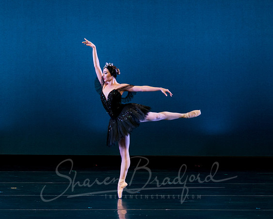Texas Ballet Theater pc Sharen Bradford-1568