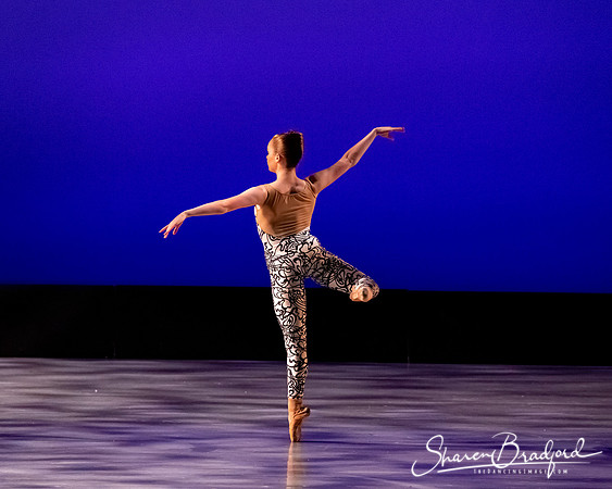 Ballet 37 pc Sharen Bradford-0522