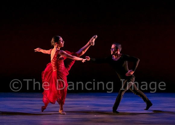 Chado Danse-2941