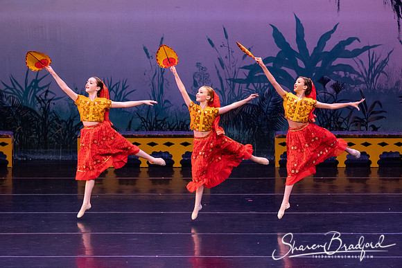 TDC La Bayadere pc Sharen Bradford-2897