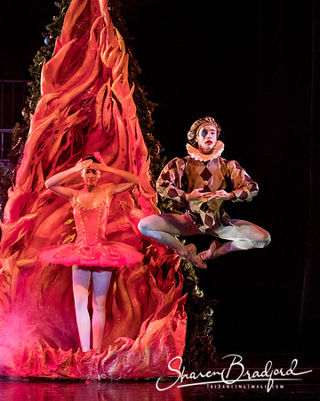 Nutcracker matinee pc Sharen Bradford-4866