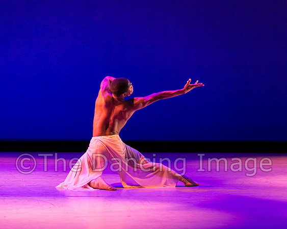 Jared Brown-4853