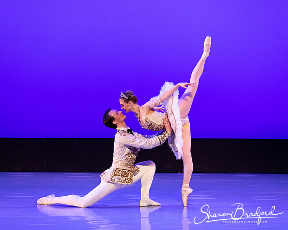 TBT Sleeping Beauty Pas pc Sharen Bradford-1395