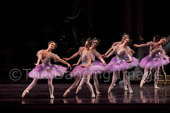 TB Sleeping Beauty Wed.-0044
