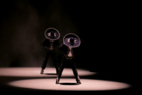 Mosaic Dance Project
