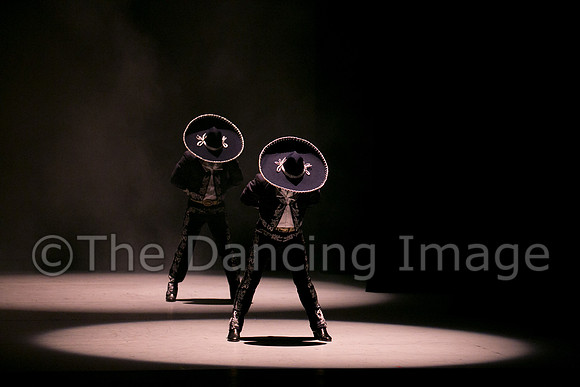 Mosaic Dance Project-0312