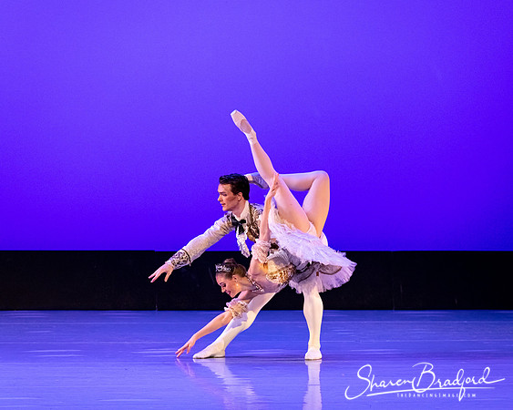 TBT Sleeping Beauty Pas pc Sharen Bradford-1431
