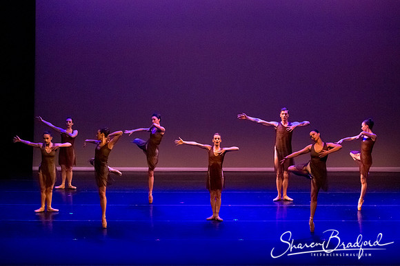 Ballet Dallas Seasons pc Sharen Bradford-1516