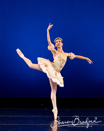 Texas Ballet Theater pc Sharen Bradford-1304