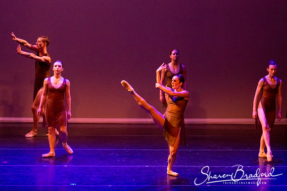 Ballet Dallas Seasons pc Sharen Bradford-1446