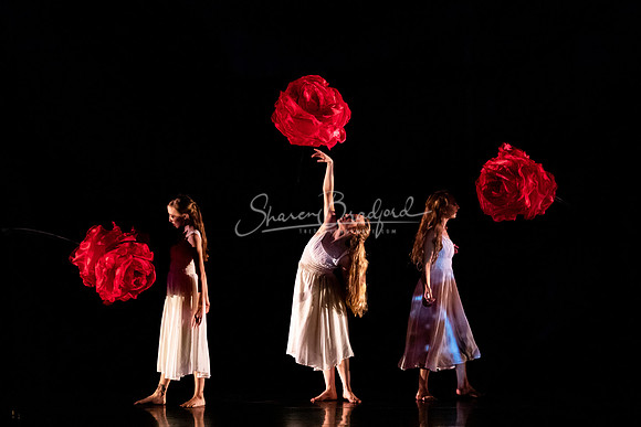 Momix ALICE 9-17-21 pc Sharen Bradford-2614