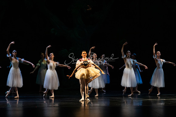 Ballet NTX Sleeping Beauty pc Sharen Bradford-1355