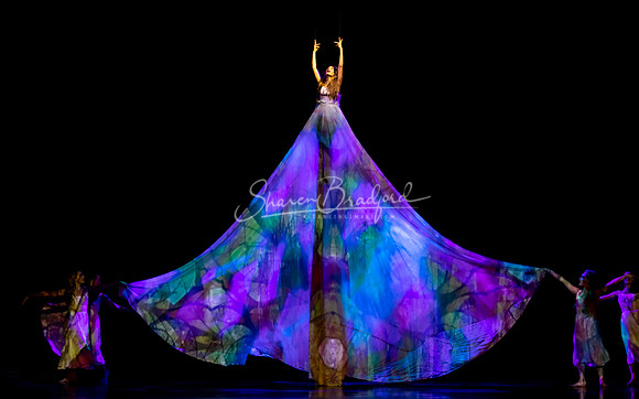 MOMIX Alice pc Sharen Bradford-1195
