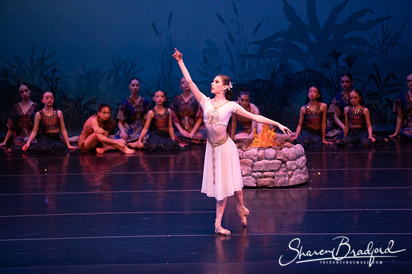 TDC La Bayadere pc Sharen Bradford-2517