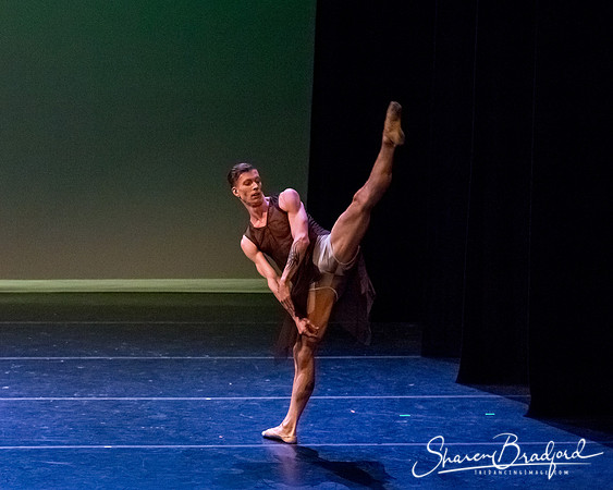 Ballet Dallas Seasons pc Sharen Bradford-1572