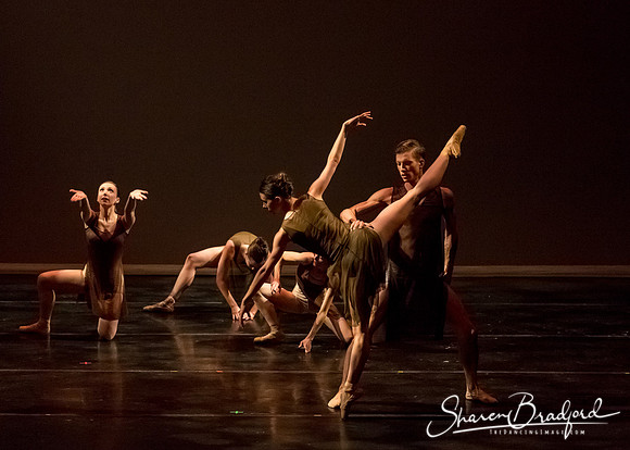 Ballet Dallas Seasons pc Sharen Bradford-1403