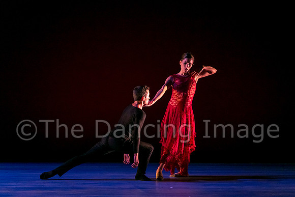Chado Danse-2833