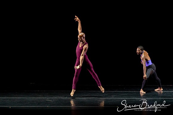 DBDT Execution of a Sentiment pc Sharen Bradford-1022