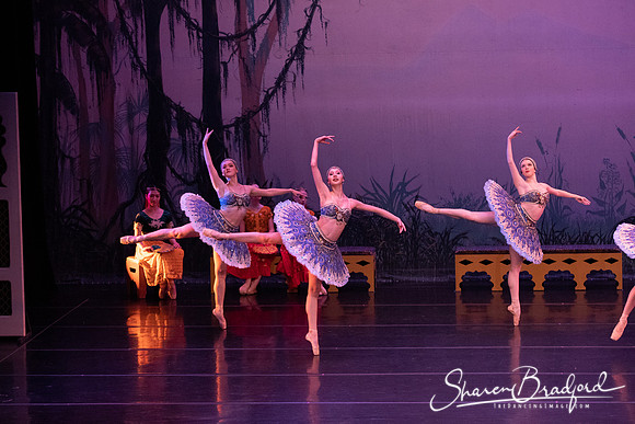 TDC La Bayadere pc Sharen Bradford-3090