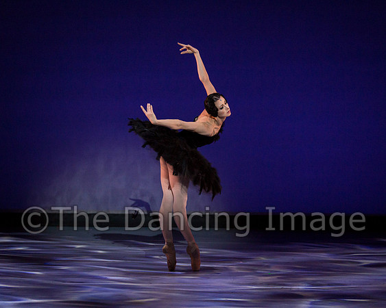 Olga Pavlova_The Dying Swan-3876