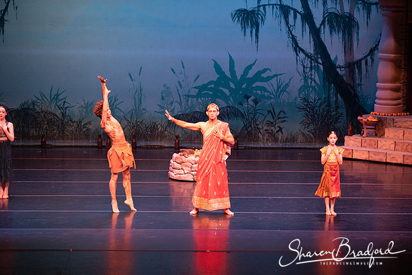 TDC La Bayadere pc Sharen Bradford-2418