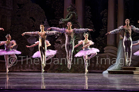 TB Sleeping Beauty Wed.-0052