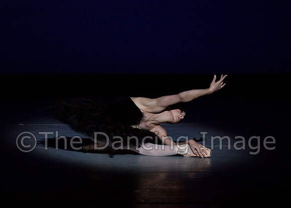 Olga Pavlova_The Dying Swan-3947