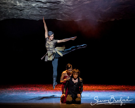 Beijing Dance Theater pc Sharen Bradford-0422