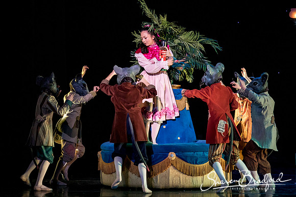 Nutcracker matinee pc Sharen Bradford-4707