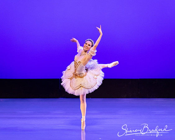 TBT Sleeping Beauty Pas pc Sharen Bradford-1548