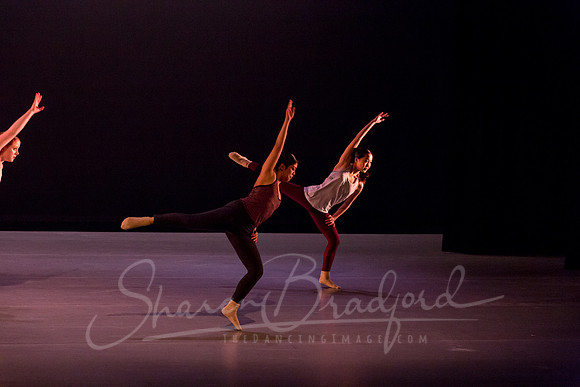 Peculiarity pc Sharen Bradford-7114