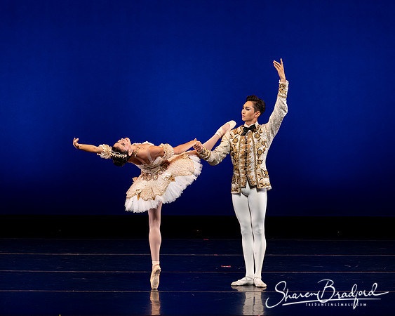Texas Ballet Theater pc Sharen Bradford-1171