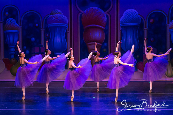 Waltz of the Flowers pc Sharen Bradford-1778