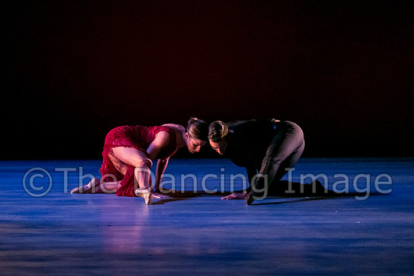 Chado Danse-2823