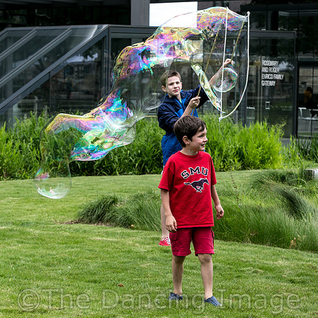 DAD Block Party pc Marty Sohl-5200