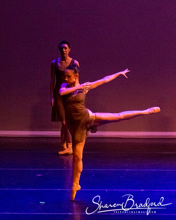 Ballet Dallas Seasons pc Sharen Bradford-1450