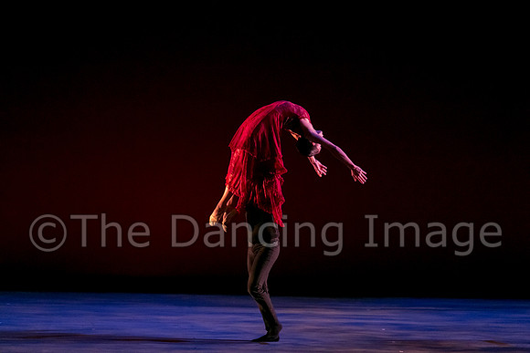 Chado Danse-2854