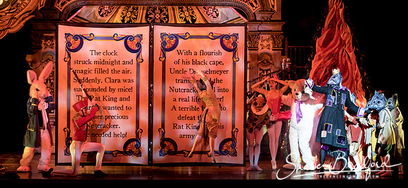 Nutcracker matinee pc Sharen Bradford-4813