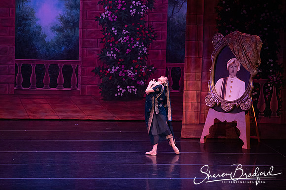 TDC La Bayadere pc Sharen Bradford-2830