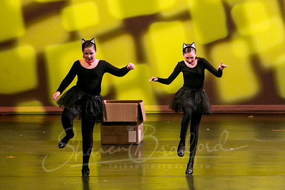 Feline Beat-2524