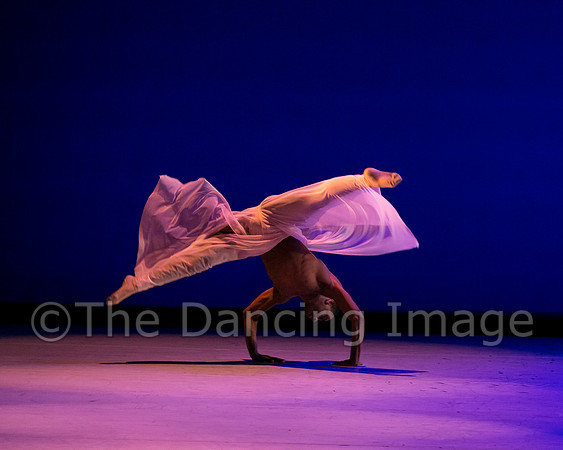 Jared Brown-4814