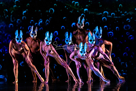 MOMIX Alice pc Sharen Bradford-0164