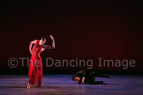 Chado Danse-2845