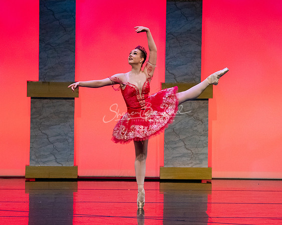 Ballet NTX Sleeping Beauty pc Sharen Bradford-0154