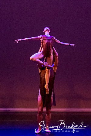 Ballet Dallas Seasons pc Sharen Bradford-1472