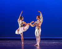 Sleeping Beauty - Kotelenets